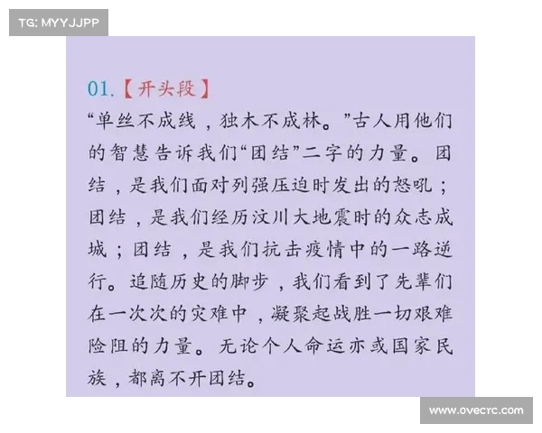 以更加团结的力量共创美好未来 实现社会和谐与持续发展 以更加团结的力量共创美好未来 实现社会和谐与持续发展